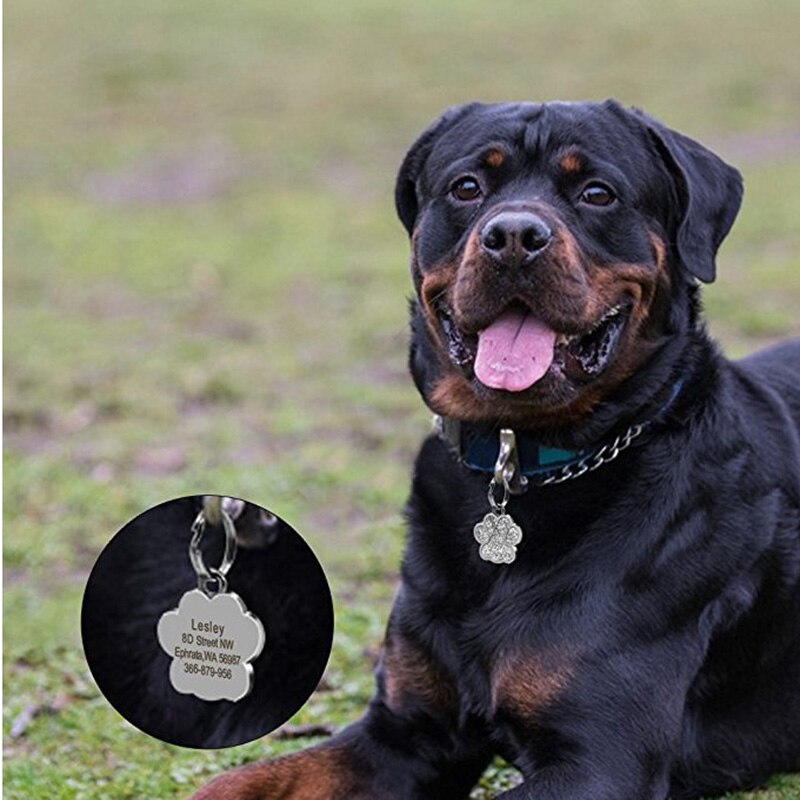 Hundbrickor graverad katt valp husdjurs-id namn krage tag hänge ben&tass glitter söta tillbehör för husdjur
