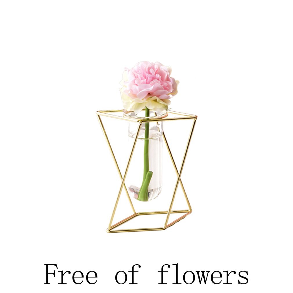 Nordisk stil glass blomsterpotte jern kunst vase rose gull hengende prøverør blomstervaser hjemmekontor dekorasjon skrivebord blomsterpotter: Kort rose