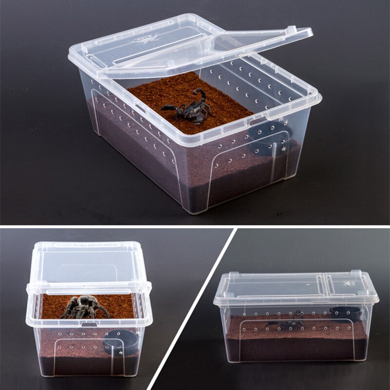 Large Reptiles Feeding Box Plastic Container Insect Pet Terrarium Transport Breeding Live Food Case with Bowl Reptile Supplies