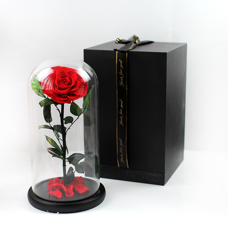 Bewaard Rose Bloemen Schoonheid En Het Beest Rose In Glas Bruiloft Decor Valentijnsdag