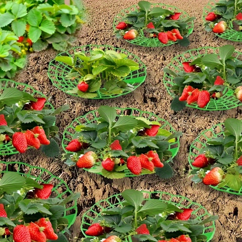 5/10pcs Green Strawberry Planting Rack with 3 Sturdy Legs To Prevent Fruit Mold and Decay, Practical Yard Storage Rack