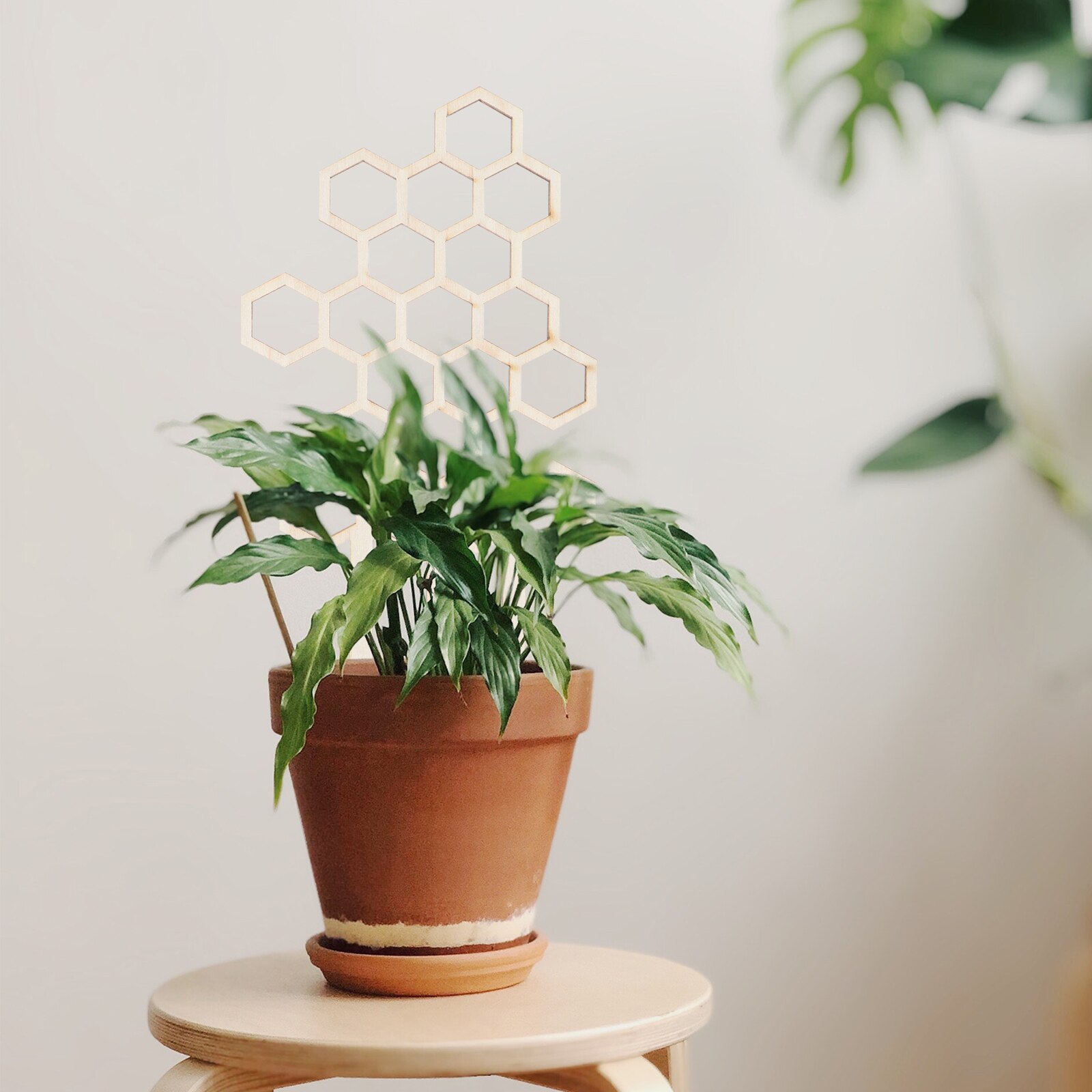 3pcs Plant Flower Trellis Honeycomb Garden Trellis Vine Climbing Support Rack