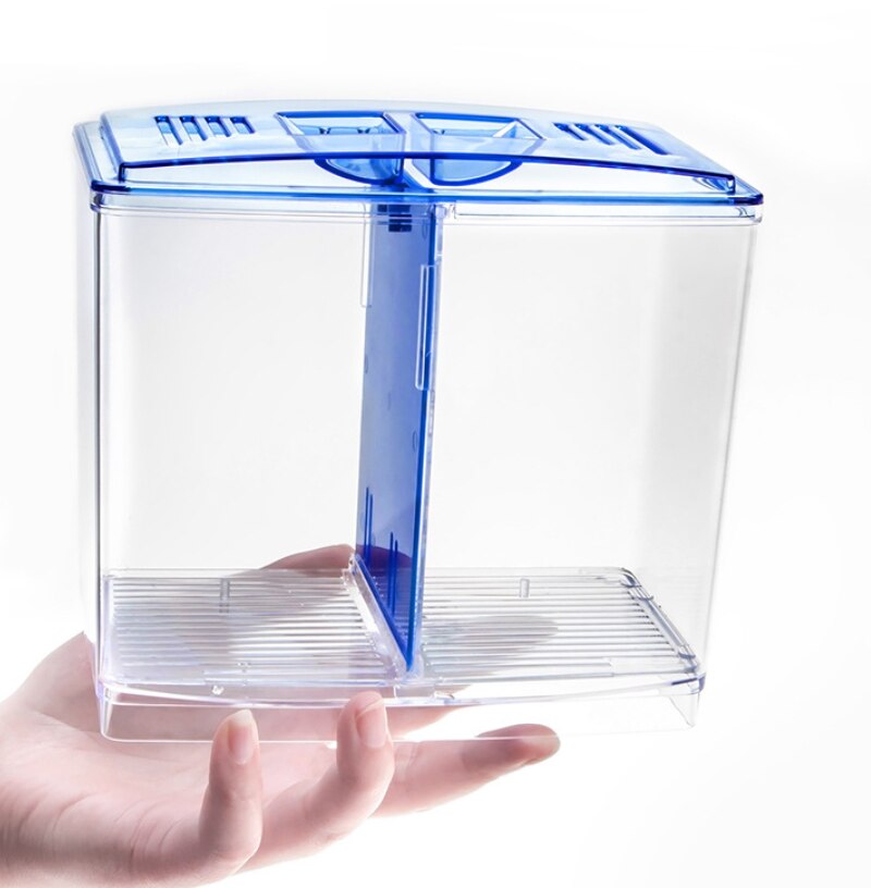 The fish box of the Shui clan, the fish fighting box, the double isolation, appreciation, hatching and reproduction fish box