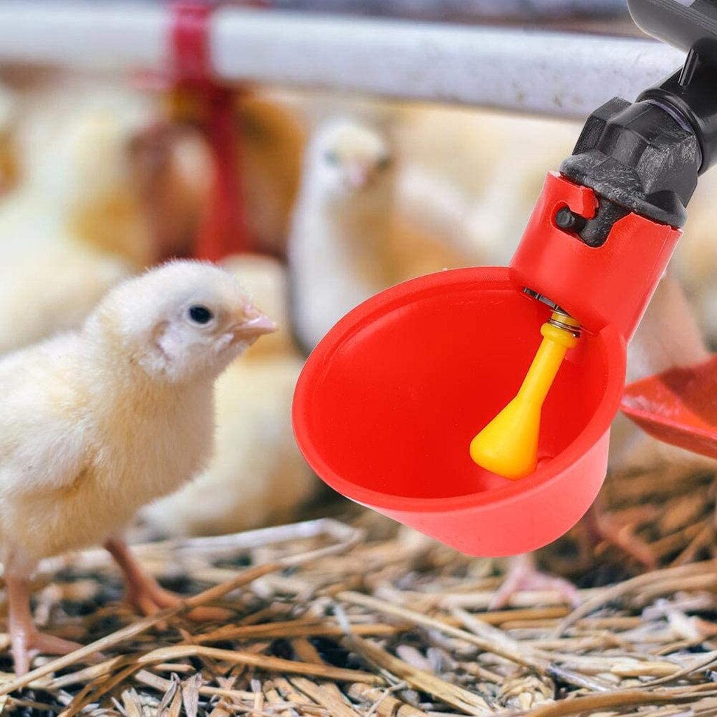 5/10PC Chicken Waterer drinkers Poultry Water Drinking Cups- Chicken Hen Plastic Automatic Drinker Birds Drinking Bowls Water