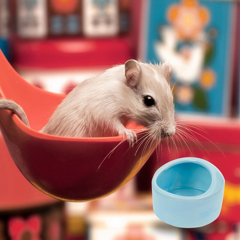 Cuenco de cerámica para hámster, pequeño Animal lindo, sin derrames, sin rotación, soporte para comida y agua, suministros para mascotas, 3 uds.