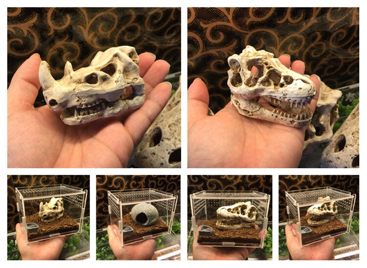 Acrylic Insect Cage with Accessories Spider Lizard Reptile Breeding Box Reptile Terrariums Reptile Home Box Gecko Tortoise House