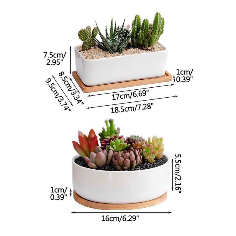 Succulents White Porcelain Flower Pots Round Rectangular Home Garden Refreshing Ceramic Pots Balcony Green Planting