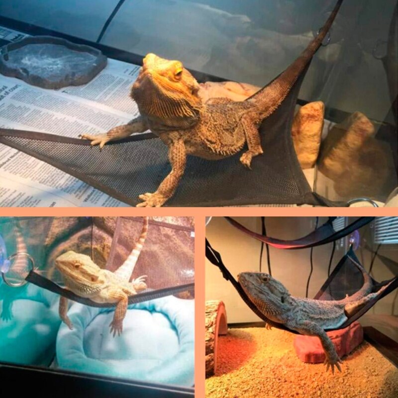 2 -pack skäggig drake hängmatta ödla solstol stege hängande sängtillbehör, reptilhabitat terrariumdekoration för vara
