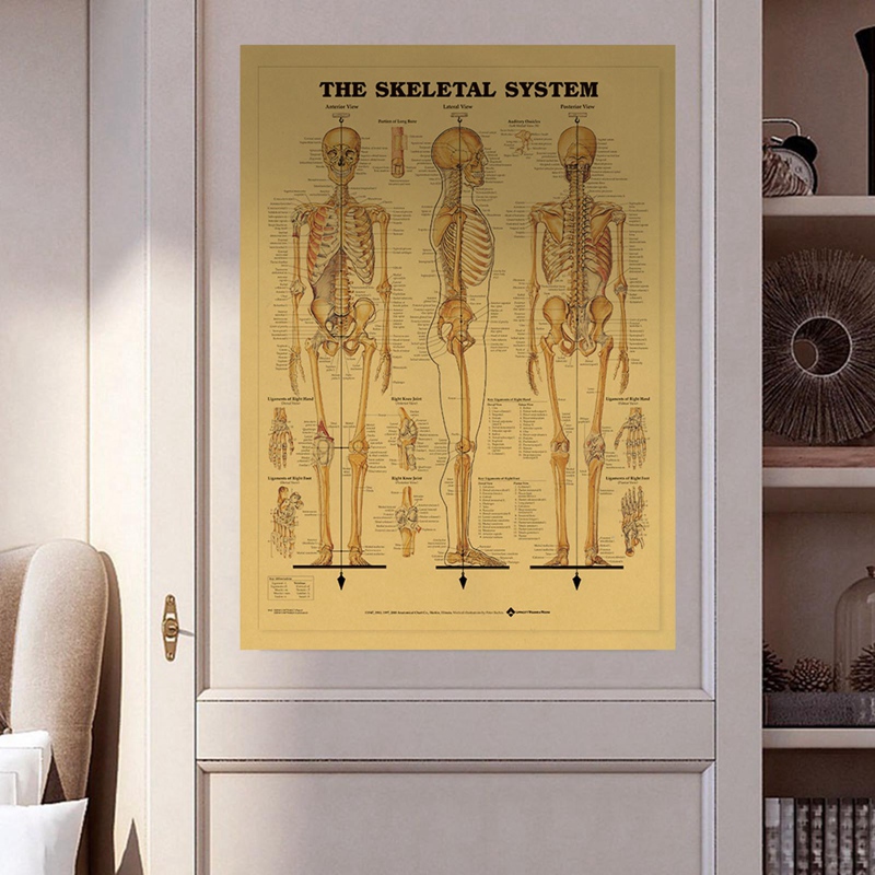 Póster del esqueleto del cuerpo para decoración del hogar, cuadro adhesivo para pared, estructura del sistema nervioso, Retro, papel Kraft