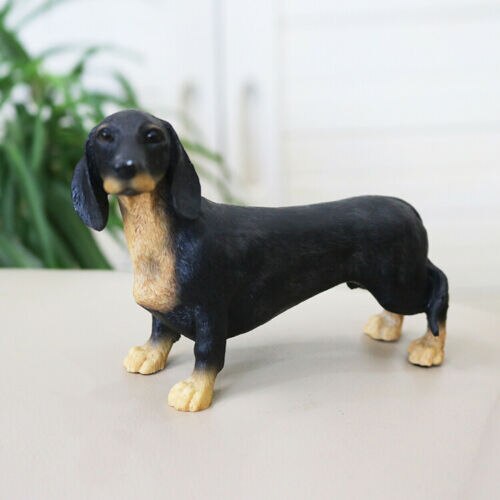 JJM-figura de perro Dachshund Dackel Teckel, coleccionista de mascotas, decoración de coche, Animal de juguete, modelo educativo de PVC para niños, adultos y niños,: Default Title