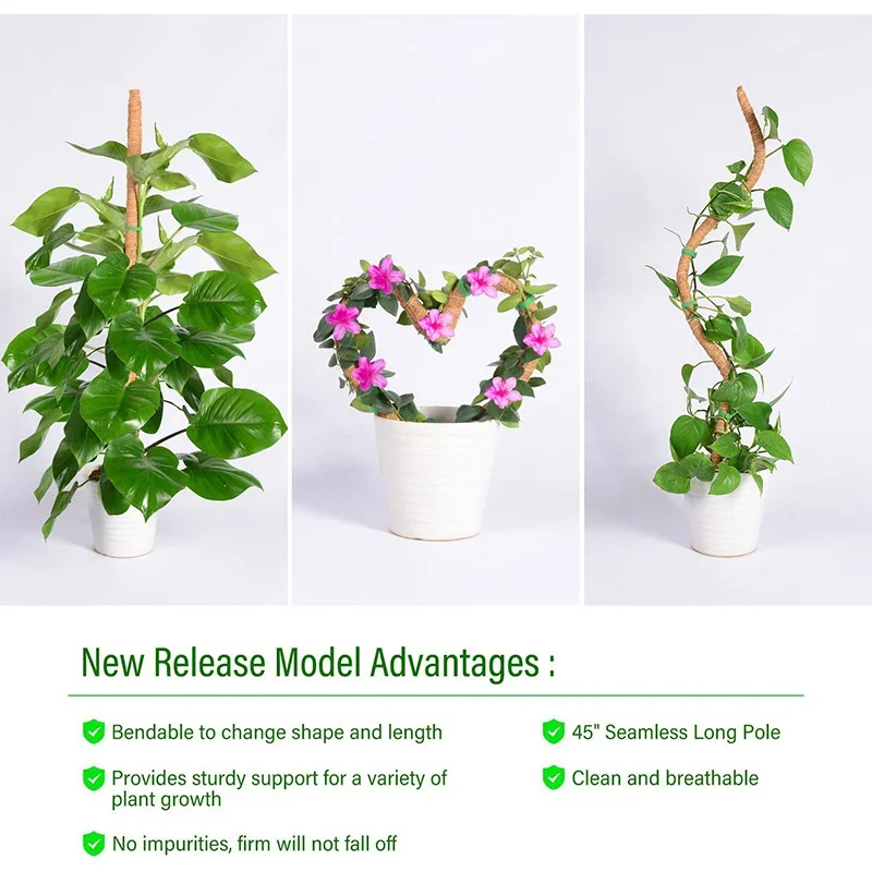 Deformable Plant Scaffold Useful Things for Garden Accsesories Plants Accessories Outdoor for Stand Indoor Support Tutors Home