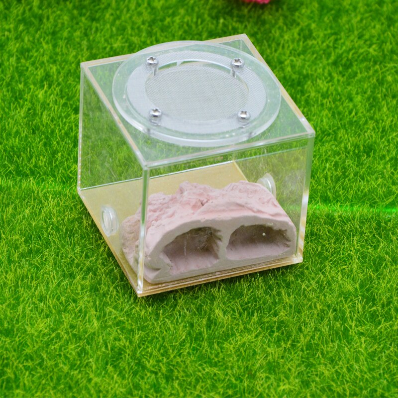 Imitation Ecological Ant Farm DIY Plaster Rockery Pet Ant Castle Landscaping Workshop Home Ants Farm House: SF-B004