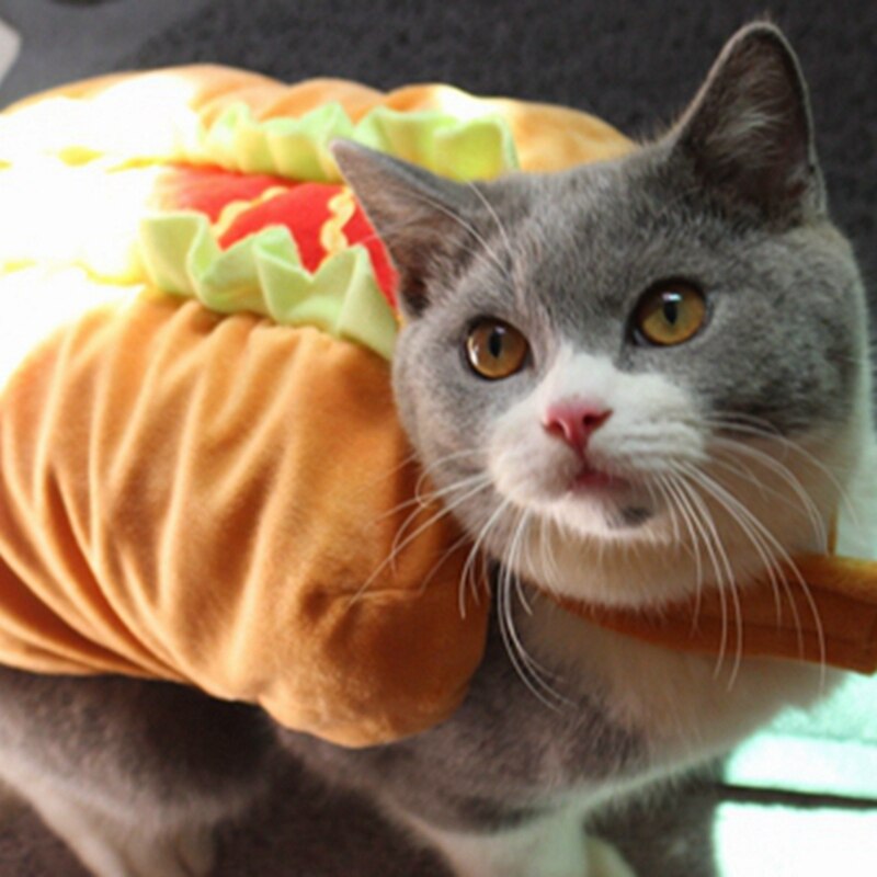 [Pet Costumes] Hotdog Sandwich Cat Costume, The Cat Burger, Funny Costume for Kittens, Cats and Small Dogs