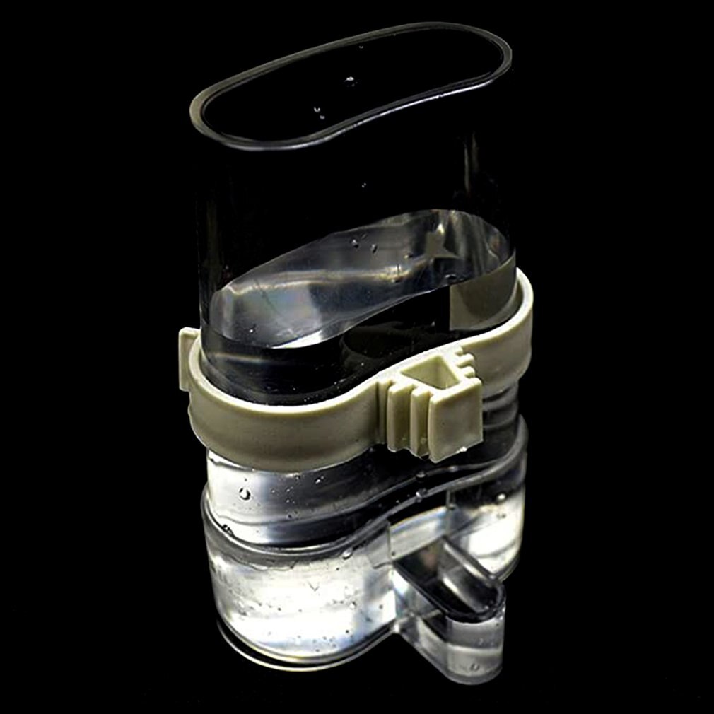 Myna Automatic Bird Feeder Automatic Bird Seed Feeder Water Dispenser For Parakeets Parrots Cockatoos