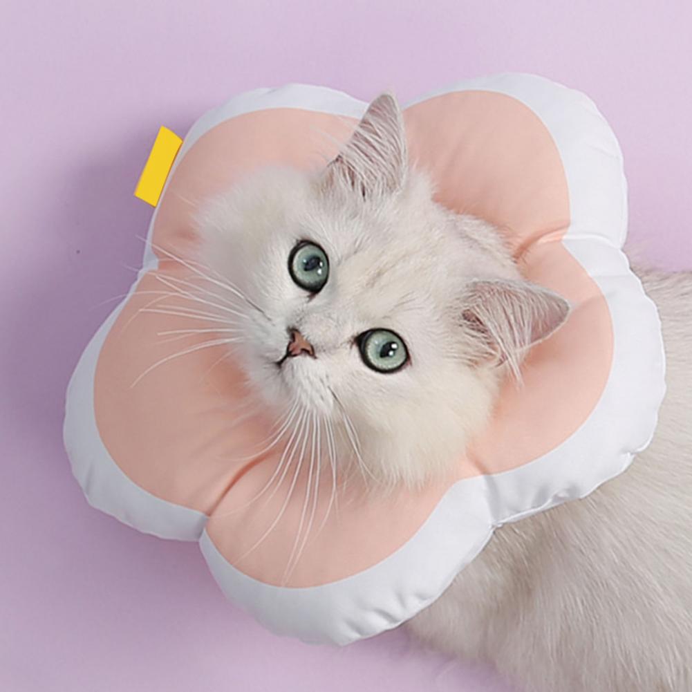 Bloem Vorm Anti-Bite Anti-Likken Hals Kat Hond Beschermende Cirkel Kraag