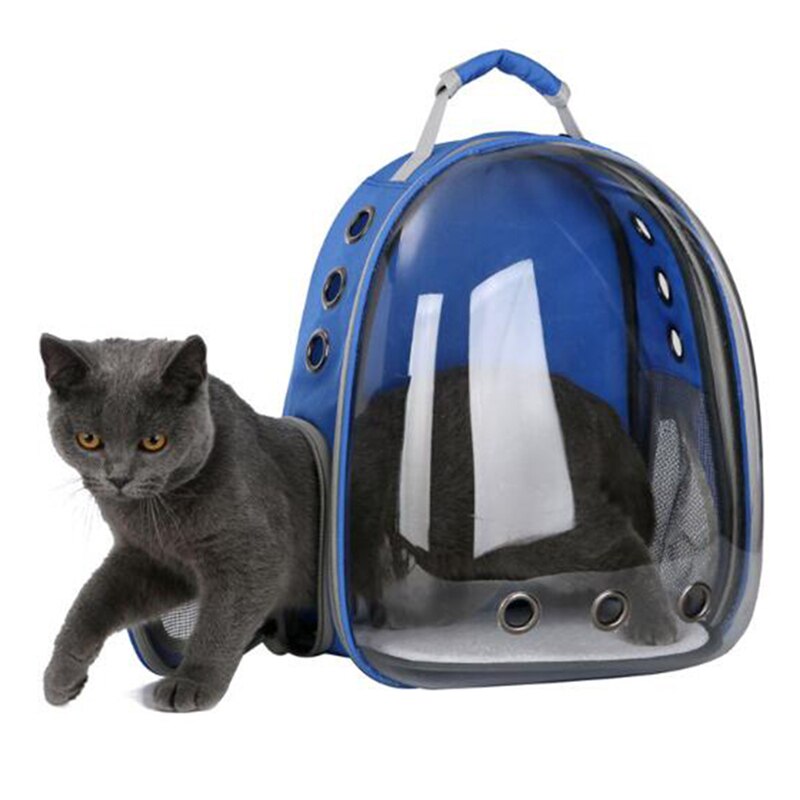 Udendørs bærbar bærer gennemsigtig kæledyrs taske åndbar plads kapsel bærerygsæk til lille kattehund: Blå