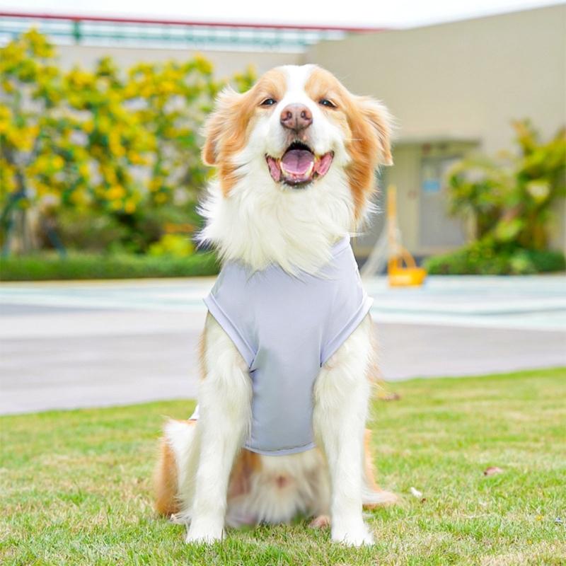 Dog Cooling Vest For Summer Cooling Comfortable Pet Clothing For Outdoor Walking Machine Washable Breathable Polyester 37JD