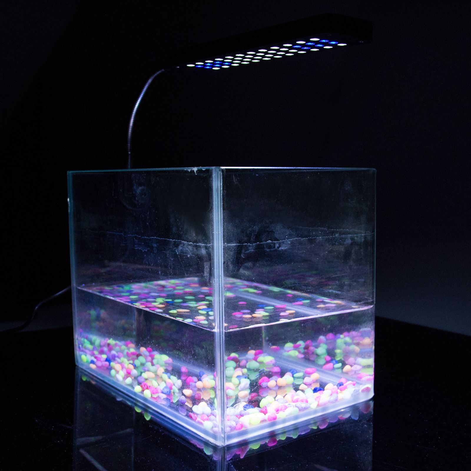 48 Led Aquarium Fish Tank Licht Klem Flexibele Wit & Blauwe Verlichting Lamp Us/Uk Plug