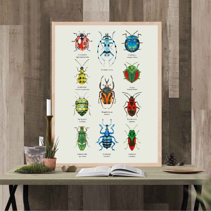 Kleurrijke Kevers Met Latin Namen Art Poster Prints Natuur Onderwijs Wall Art Retro Poster Kraftpapier