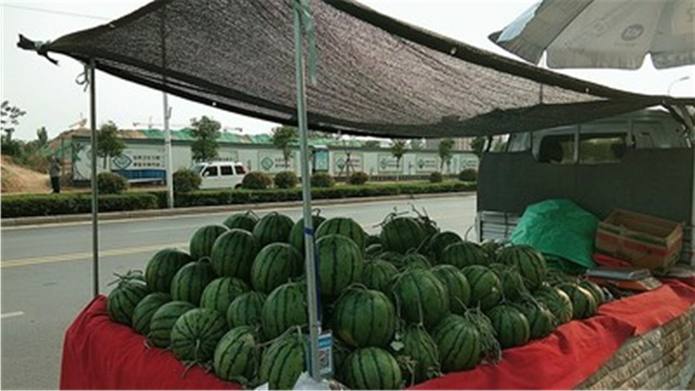 Black sun shade for guarden car sunshade greenhouse shade sail awning on garden swing balcony plant privacy screen net