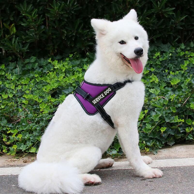 Chaleco elástico con correa cóncava para perro, arneses de tracción con estampado X9 de policía, para perros medianos y grandes, de: Purple / M