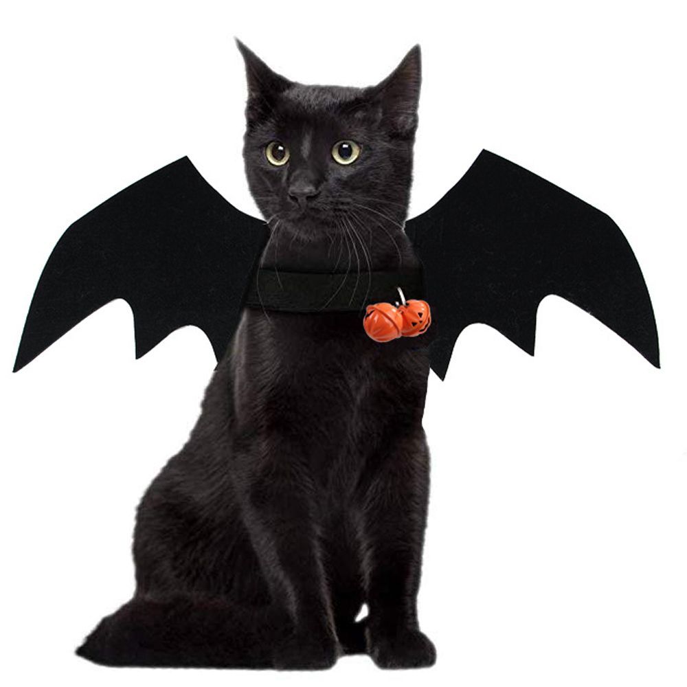Kattetøj flagermus vinger sjovt hund kostume kunstig vinge kæledyr cosplay rekvisit halloween jul katte kostume kæledyr produkter