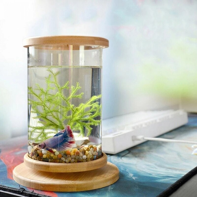 Mini Glass Fish Tank Bamboo Base Fish Tank Decoration Rotate Decoration Fish Bowl Ecological Bottle Aquarium