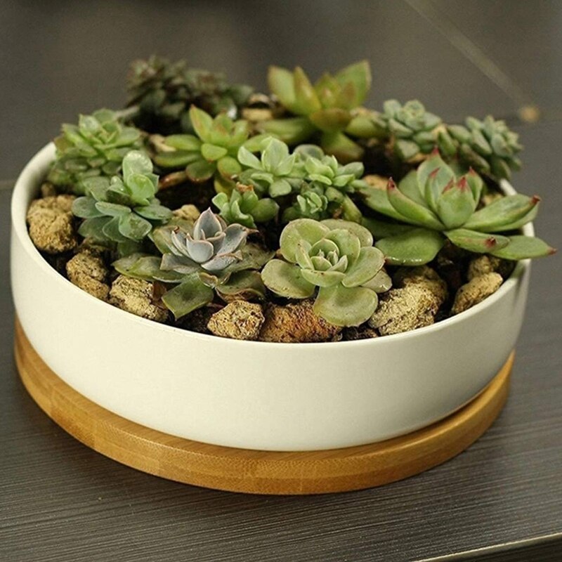6.1 tommer runde bambusplanter rund planteskål plantepottebakke til indendørs og udendørs planter