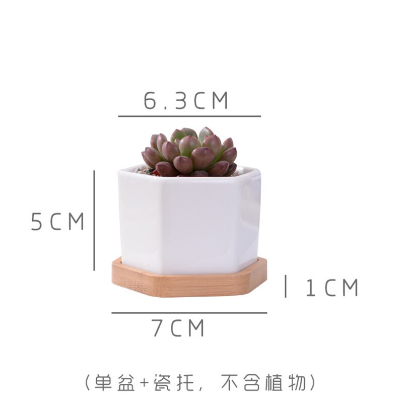 Macetero de porcelana de cerámica blanca minimalista para plantas suculentas, macetero de porcelana decorativo para escritorio, maceta para decoración del hogar, 1 olla + 1 bandeja: 01