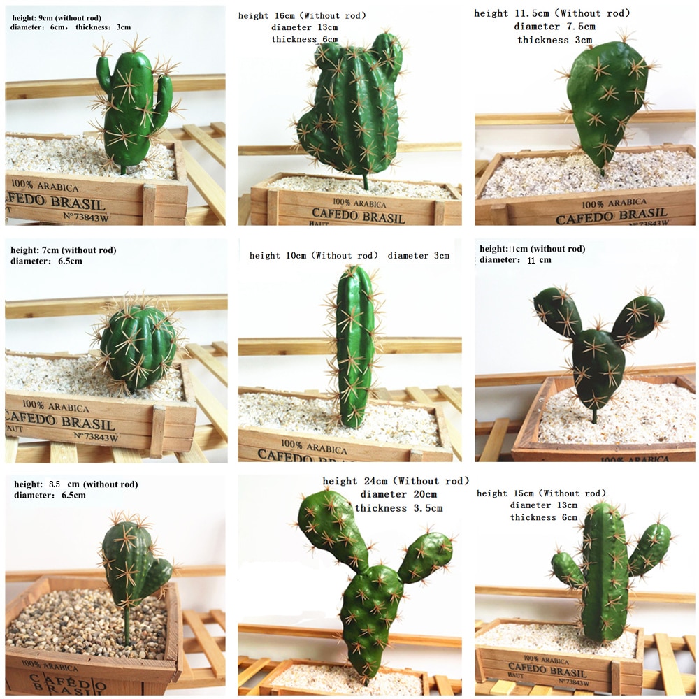 Graines de graines pour Aquarium, plante aquatique, graines faciles, Aquarium, aménagement paysager