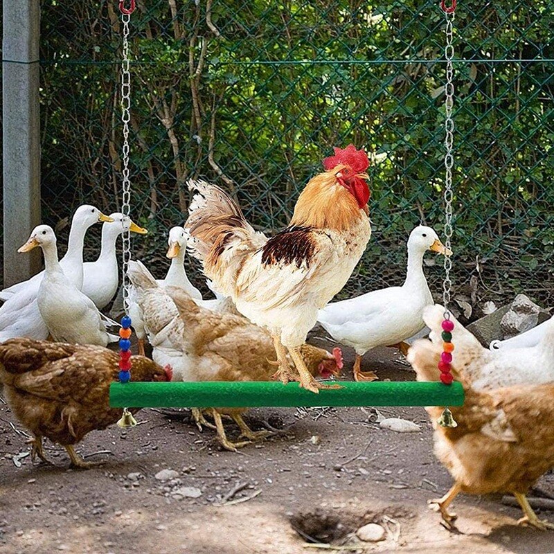 3PCS Chicken Toys Chicken Swing Toy,Wood Stand for Chicken Coop Swing Ladder Toys Vegetable Hanging Feeder for Chicken