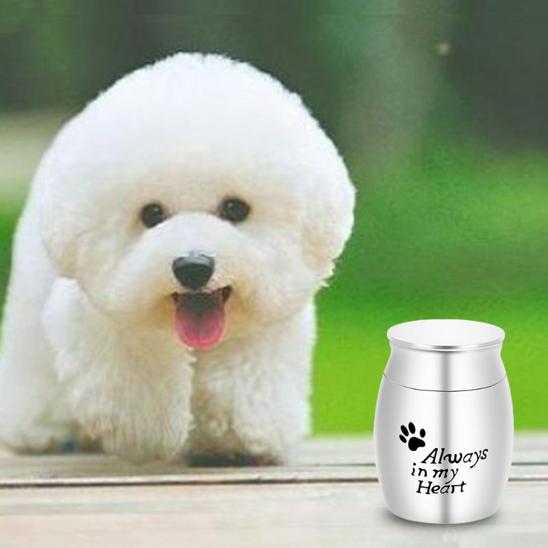 Pet Cremation Urns Stainless Steel Ash Memorial Container Dog Cat Perfect Resting Place Storage Holder