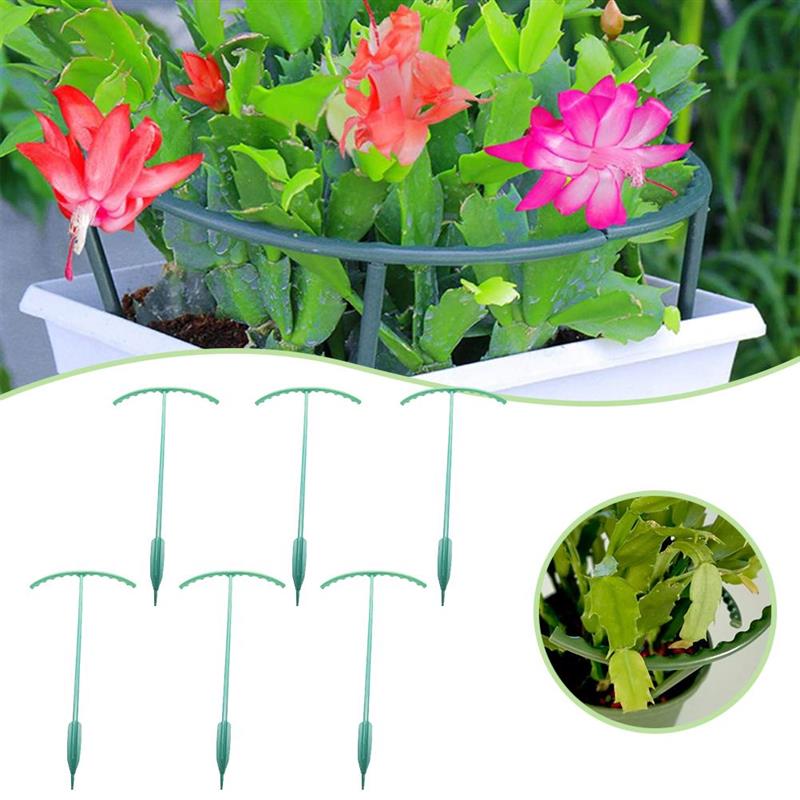 Green Half Round Plant Cage Holder Plants Support Stand Plant Climbing Frame for Morning Glory Crab Cactus: 6pcs
