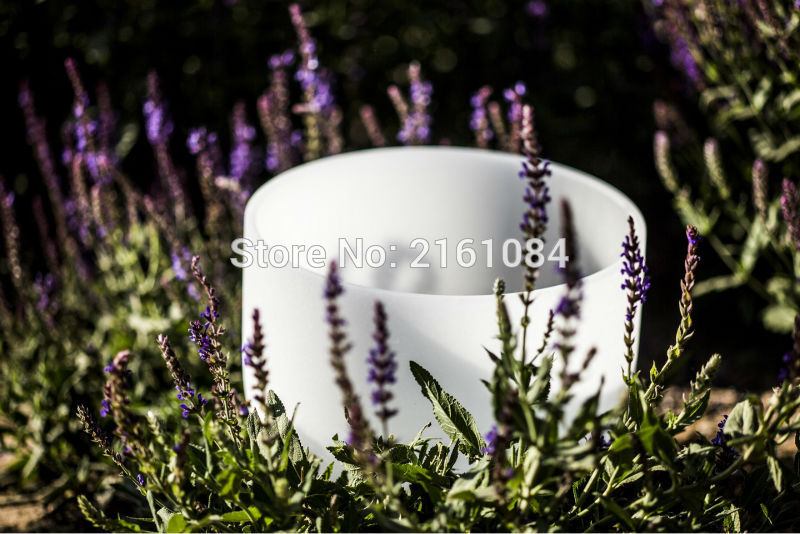 432 HZ 8" Note C/D/E/F/G/A/B Quartz Crystal Singing Bowls for Sound Therapy with one free suede and o ring