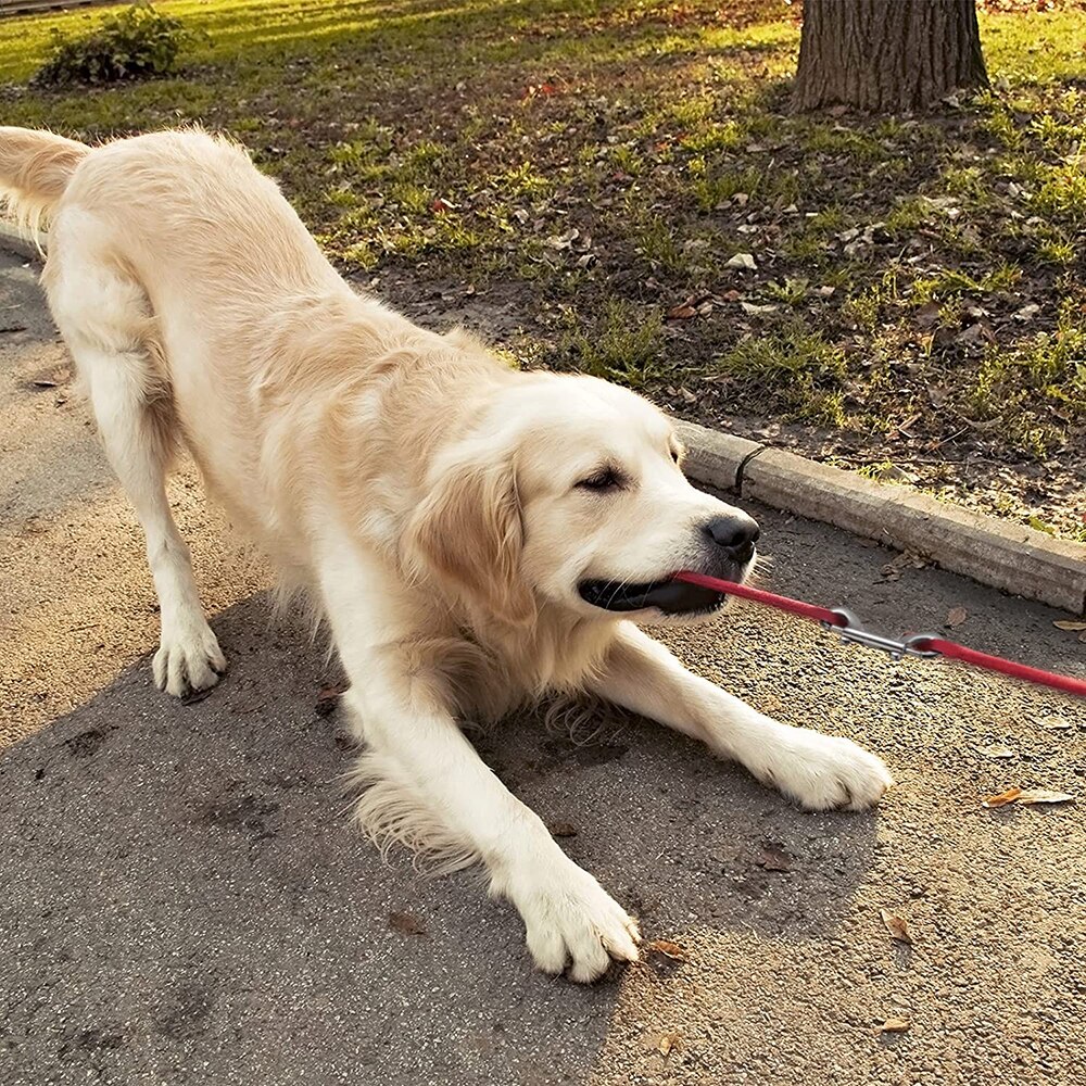 5/10Pcs Double Ended Bolt Snap Hook, Zinc Alloy Nickel Plated Trigger Chain Key Holder Metal Clip Feed Buckets Dog Leash Collar