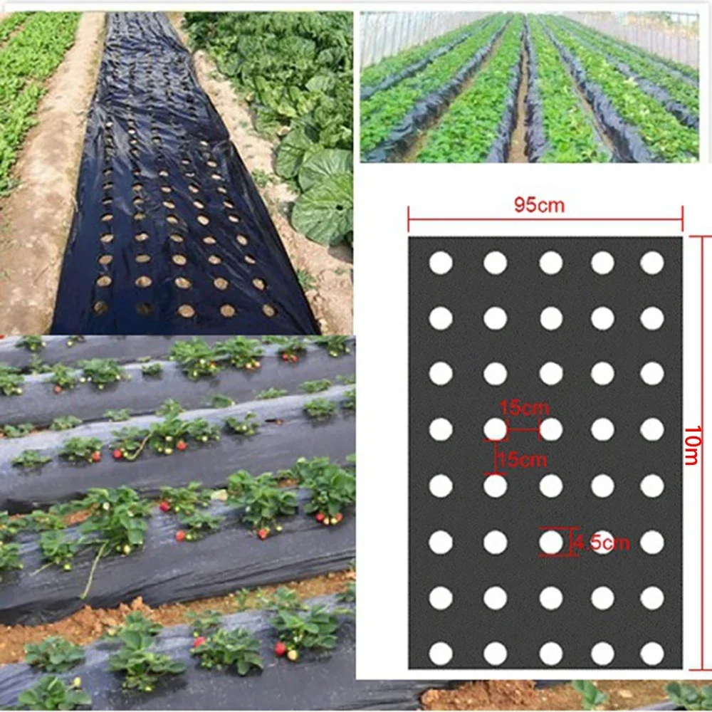 Perforierte Folie für Gartengewächshäuser wächst Ihr Gemüse mit unserer schwarzen Mulchfolie aus Kunststoff – perfekt zum Schutz von Pflanzen