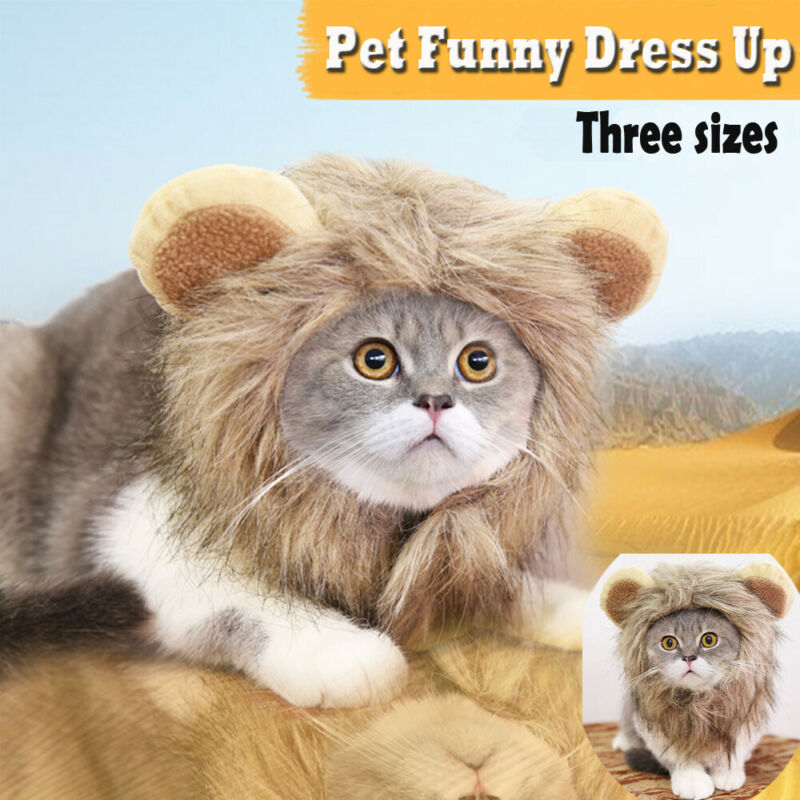 Chapeau crinière de Lion pour animal de compagnie, chapeau pour chien et chat, amusant et , adapté pour l'hiver