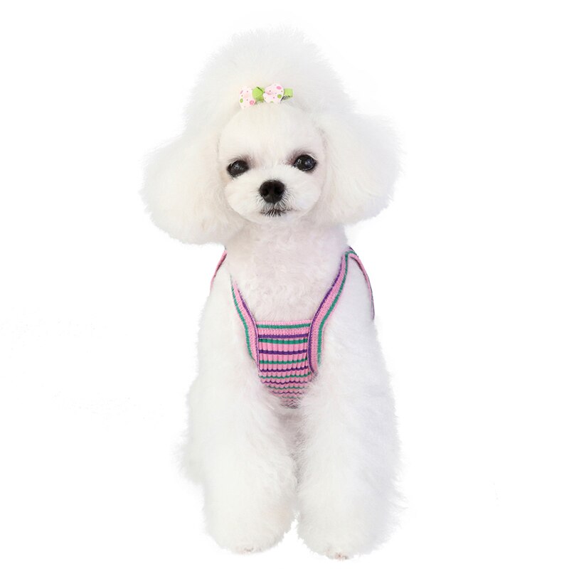 chien vêtements chiot gilet Camisole mignon arc-en-ciel rayé T-shirt été chien vêtements chemise Ropa Perro