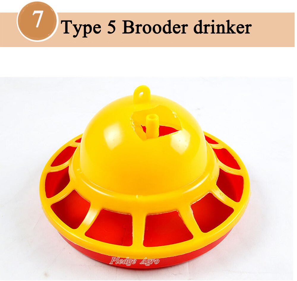 1 stücke Automatische KüKen Huhn Trinken Brunnen Trinken Brunnen Grübler Trinker GeflüGel Wachtel Ente Taube Brutkästen Vogel