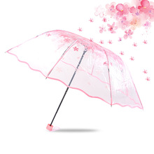 Paraplu vrouwen Apollo kersenbloesem transparante tri-fold paraplu vouwen vrouwelijke Koreaanse Japanse kersenbloesem paraplu vrouwen