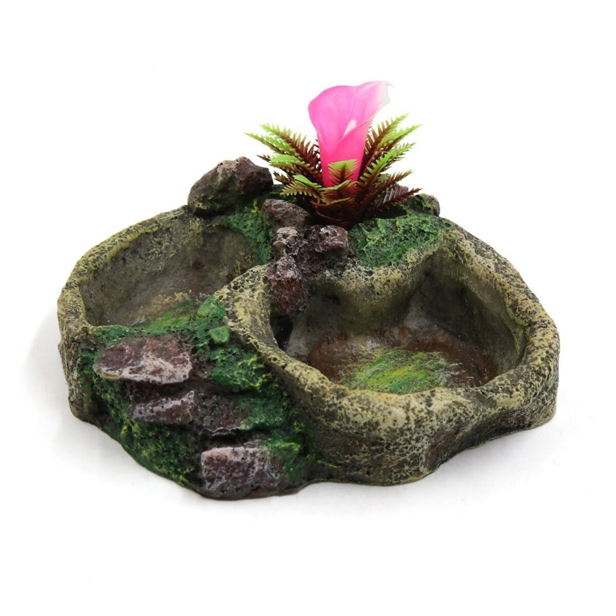 Reptile Water Dish Food Bowl Resin Feeder Bowl for Tortoise Lizard Plant Decorative Resin Bowl Food Water Dish Feeder: FOOLOWER BY RANDOM