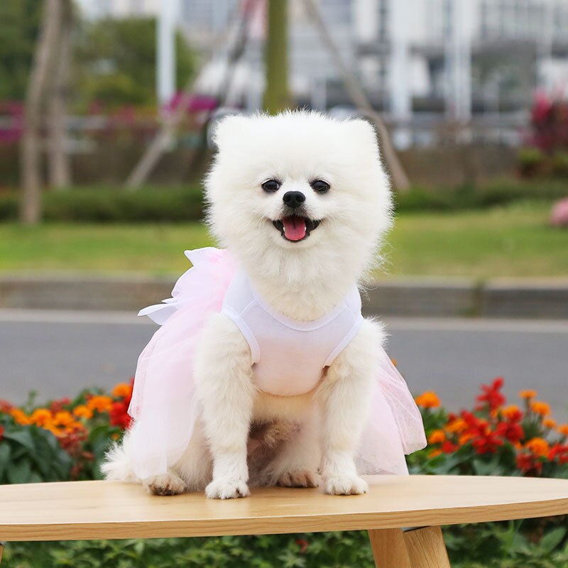 Sweet Pet Dress Cute Dog Wedding Dress Cat Princess Dress Sweet Bow Skirt Pet Supplies Bowknot Pet Dress Spring Summer Clothes