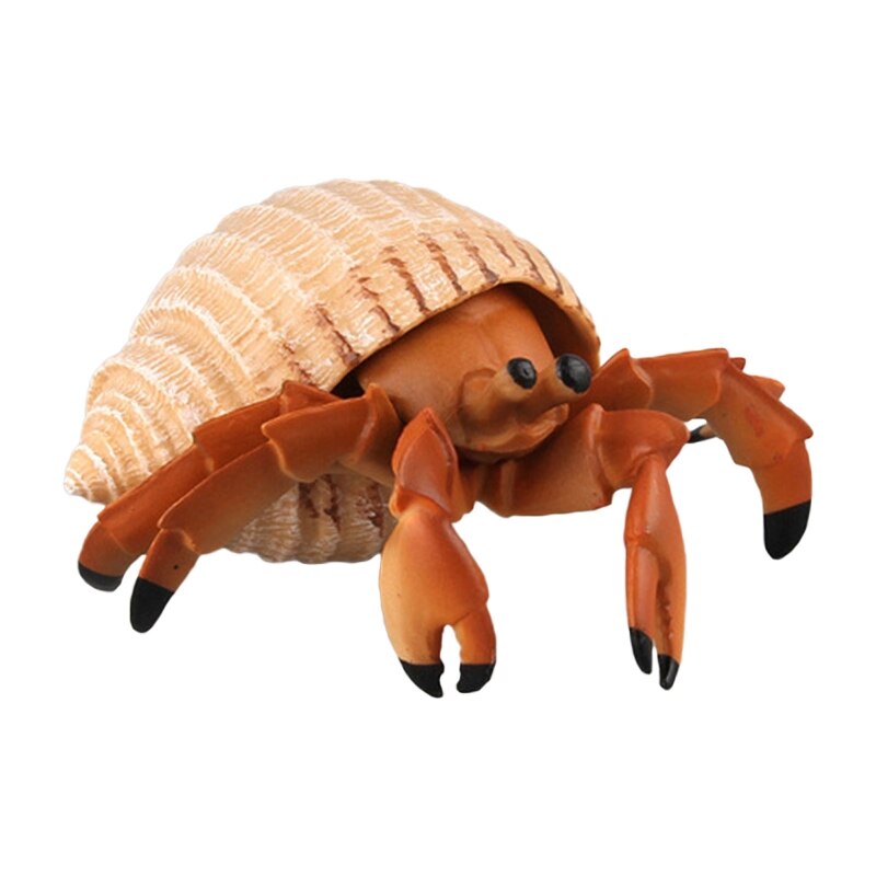 066B 5-7inch Sea Life Fish Animal Statue Model Figurine for House Room Tabletop Decor: 52 Hermit crab