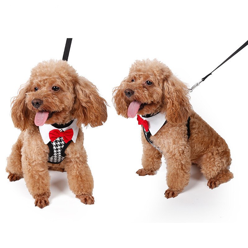 Peppita puppy vest harnas zacht mesh honden wandelharnas feest & bruiloft formeel smoking kostuum: Met riem / S