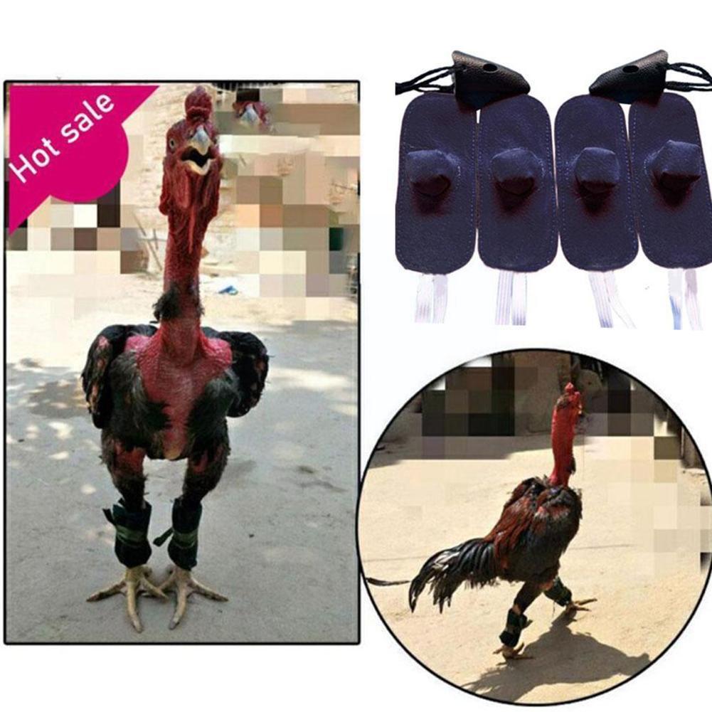 Gants en cuir pour coq, 4 paires, pour combat en toute sécurité pour la lutte, coq rouge, coq, coq, coq B6k9