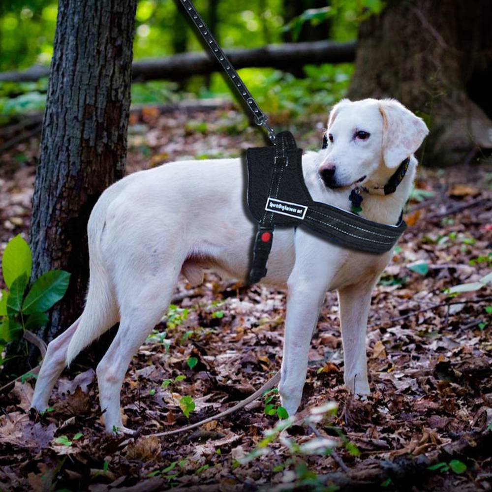 Sports Training Dog Harness Heavy Duty Pitbull Mastif K9 Labrador Siberian Husky