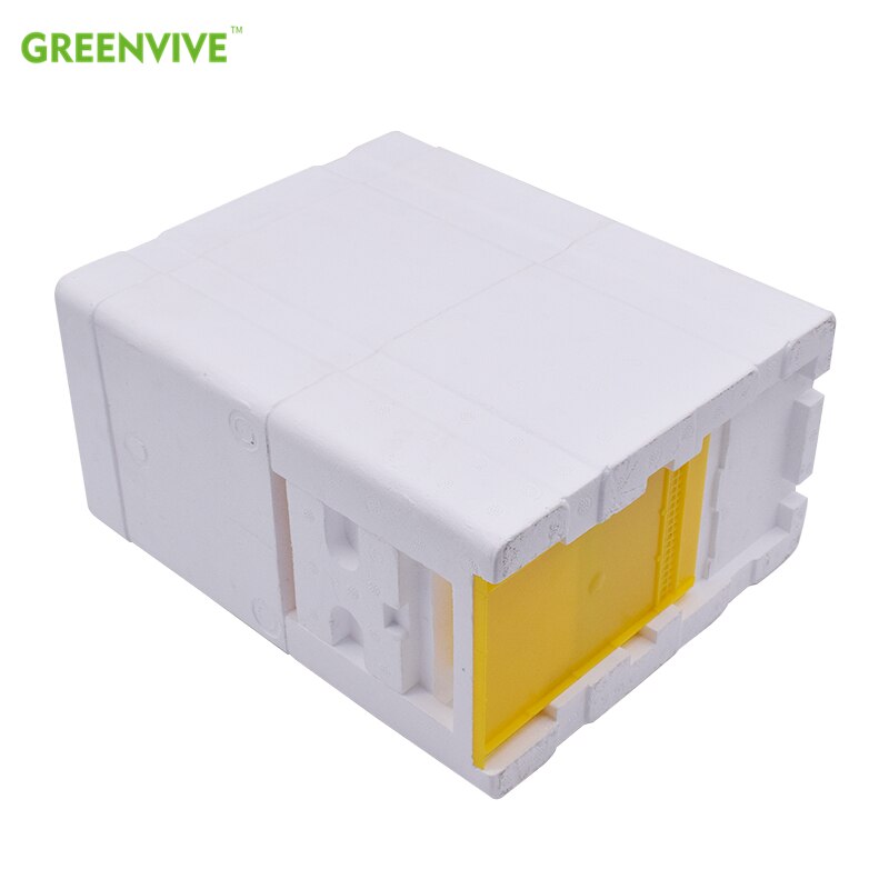 Multi-Functional Queen Bee Hive Plastic Foam Double Nucs Mini Mating Beehive Beekeeping Beehive Queen Rearing Nuc Beehive