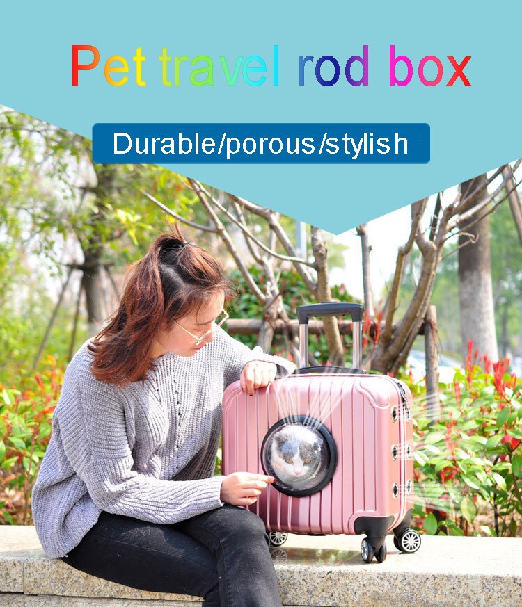 zwierzę domowe wózek Kot na wolnym powietrzu przenośny transport walizka kapsułka zwierzę domowe uniwersalny koło oddychający o dużej pojemności przewoźnik dla kota