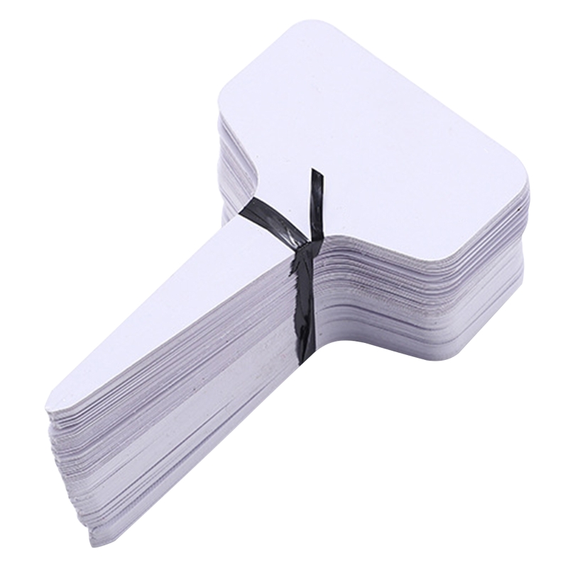 100pcs etichette per piante da giardino etichette per insegne in plastica marcatori per vivai vasi da fiori semi erbe in vaso etichette marchio di classificazione: W
