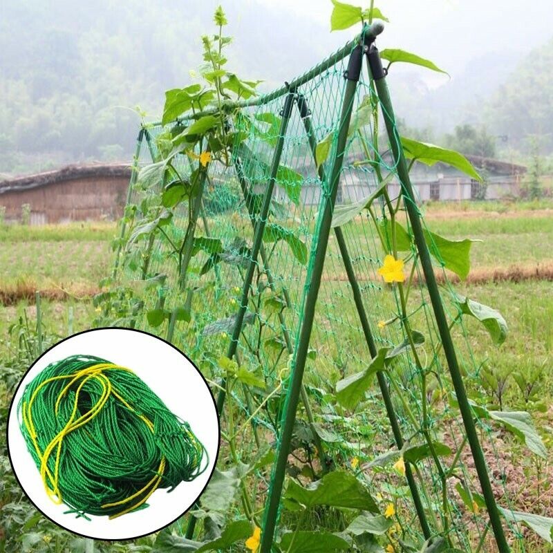 Filet en nylon vert pour plantes grimpantes, treillis de jardin, mailles rapides pour concombre, tomate, raisin, 1 paquet: L / Argent